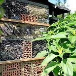 Engert Mit Holzofensauna Σπίτι διακοπών Althuttendorf