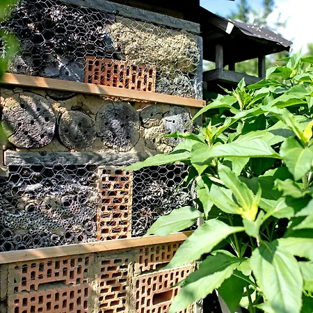 Engert Mit Holzofensauna Semesterbostad