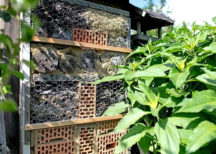 Engert Mit Holzofensauna Сasa de vacaciones